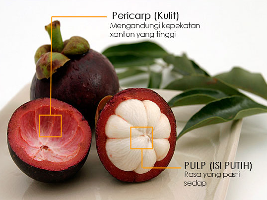 The Most Important Benefits of Mangosteen Peel